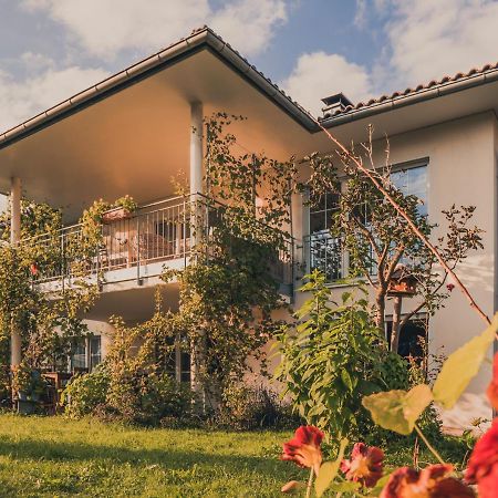 Coraline -Koblach, 6-10 P, 3 Schlafzimmer, Kueche, Riesige Terrasse, Parkplatz, Wifi, Stellplatz Ski Dış mekan fotoğraf